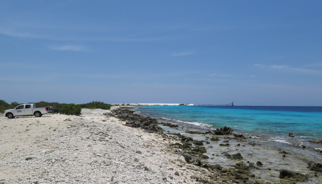 Bonaire Marine Park Tours