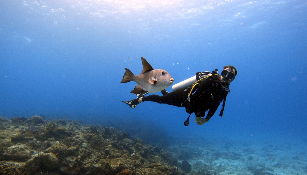 British Virgin Islands Diving Tours
