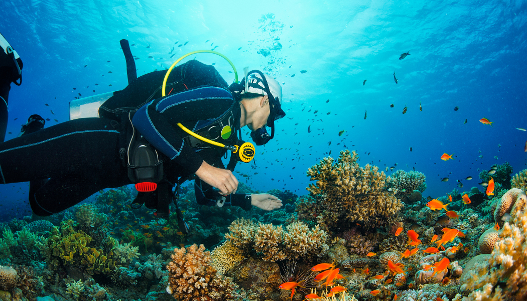 Curaçao Diving Tours