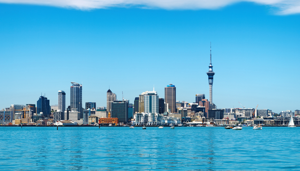 Top Adventure Tours in New Zealand for Every Traveler