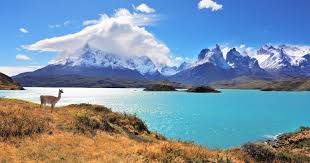Patagonia