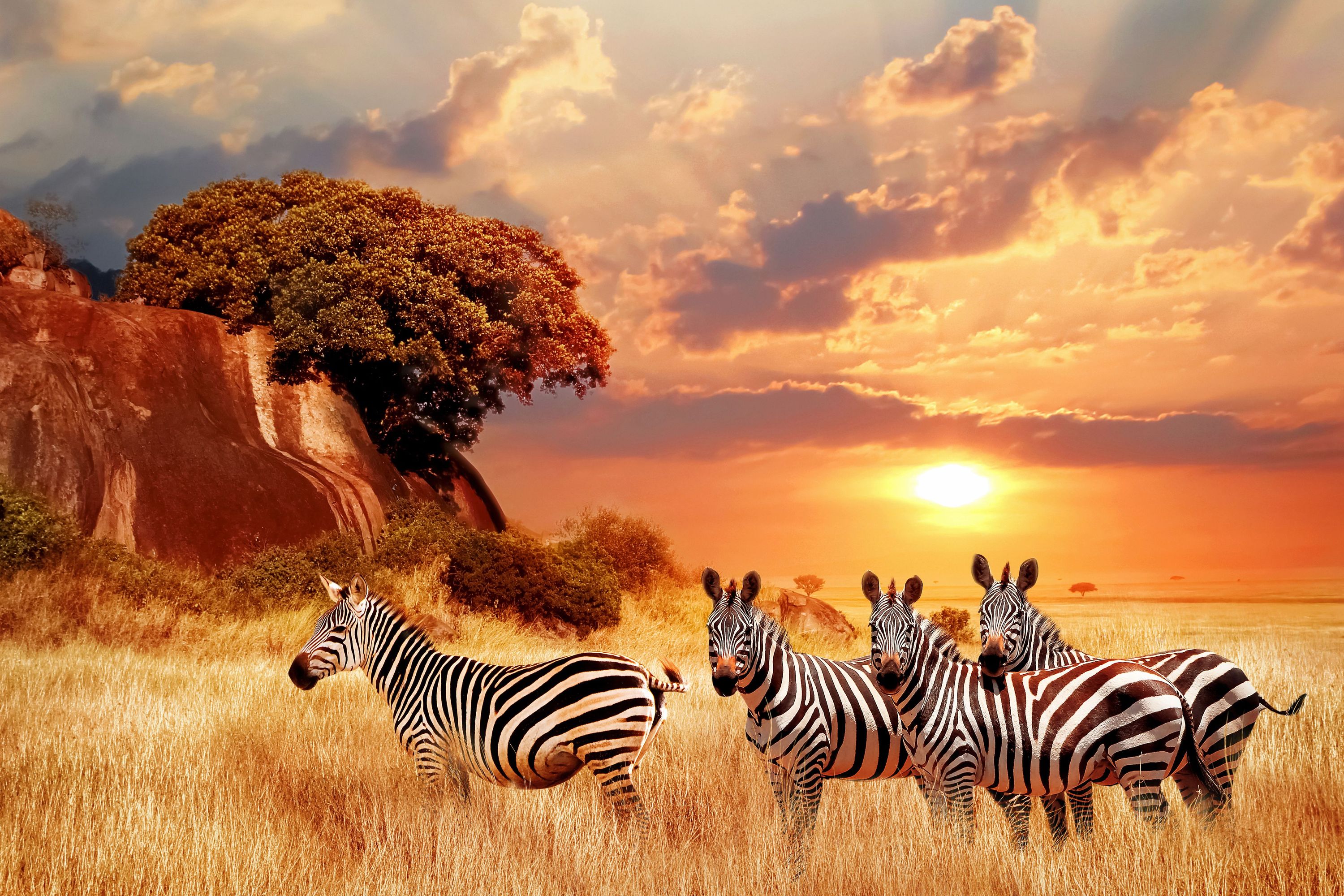 Maasai Mara