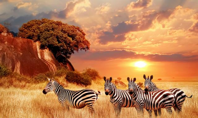 Maasai Mara